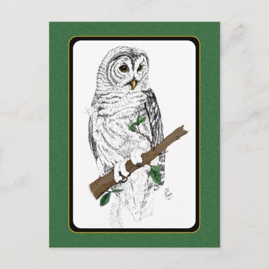 Owl 3 Briefkaart (Voorkant)