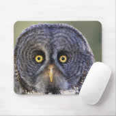 Owl 3 muismat (Met muis)