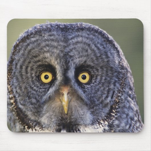 Owl 3 muismat (Voorkant)