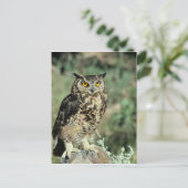 Owl (9) briefkaart (Staand voorkant)