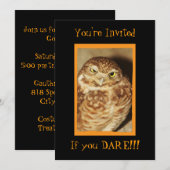 Owl a Good Time Black Halloween Uitnodiging (Voorkant / Achterkant)