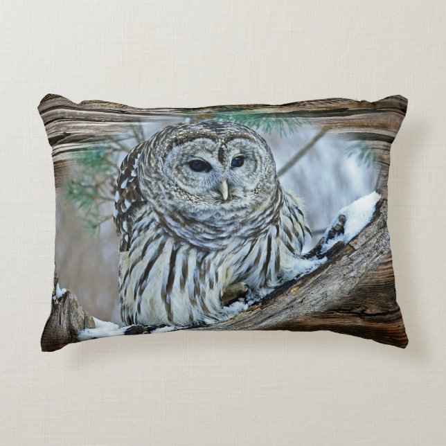 Owl Accent Kussen (Voorkant)