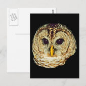 Owl Afbeelding Briefkaart (Voorkant / Achterkant)