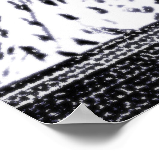 Owl Afbeelding Poster (Hoek)