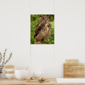 Owl Afdrukken/Poster Poster (Keuken)
