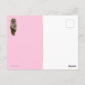 Owl Altijd van je houden Briefkaart (Achterkant)