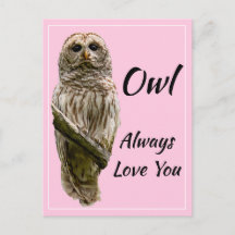 Owl Altijd van je houden