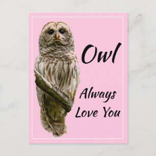 Owl Altijd van je houden Briefkaart