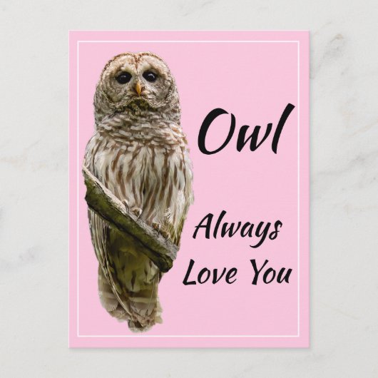 Owl Altijd van je houden Briefkaart (Voorkant)