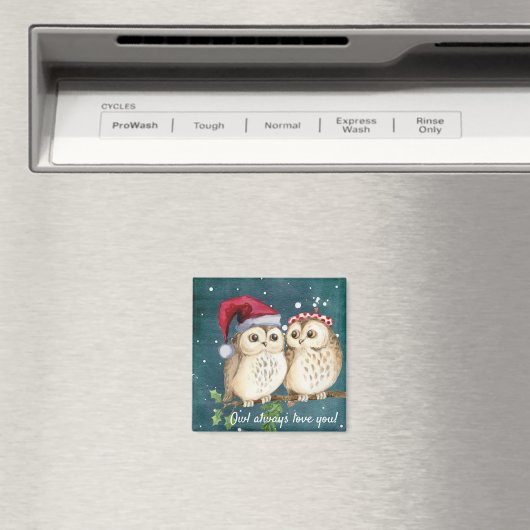 Owl altijd van je magneet (Insitu (Vaatwasser))