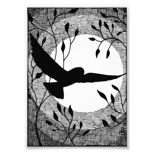 Owl and Moon Cross Hatched Foto Afdruk (Voorkant)