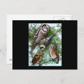 Owl Art Briefkaart (Voorkant / Achterkant)