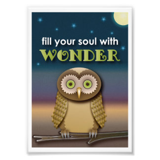 Owl Art Print Foto Afdruk