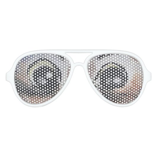 Owl Aviator Sunbril Big Eyes Zonnebril (Voorkant)