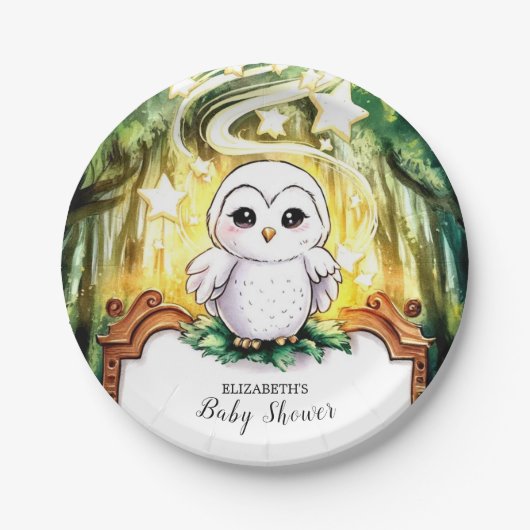 Owl Baby shower Papieren Bordje (Voorkant)