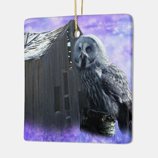 Owl Barn Shed Keramisch Ornament (Links)