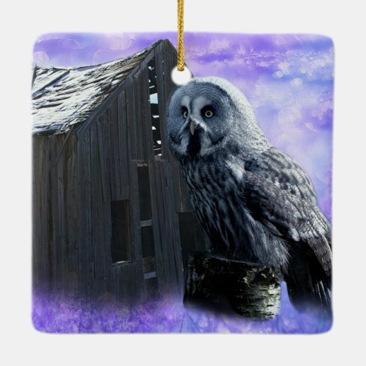 Owl Barn Shed Keramisch Ornament (Achterkant)