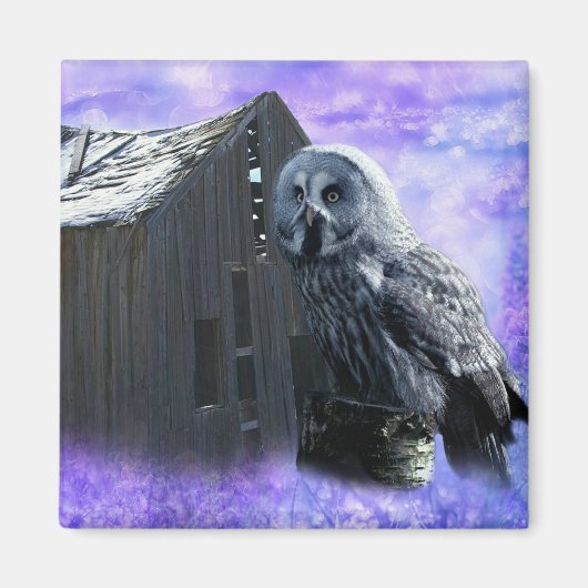 Owl Barn Shed Magneet (Voorkant)