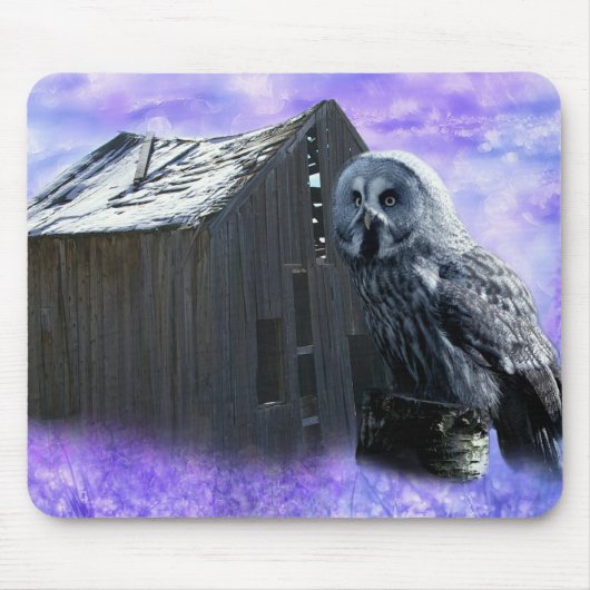 Owl Barn Shed Muismat (Voorkant)