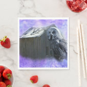 Owl Barn Shed Servet (Insitu)