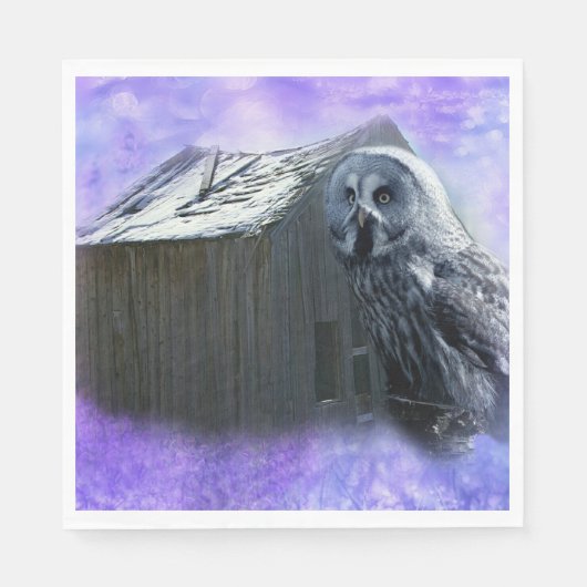 Owl Barn Shed Servet (Voorkant)