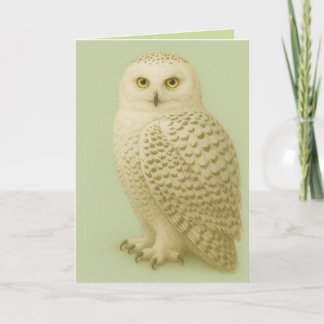 "Owl be missing you" card. Kaart