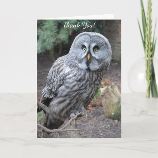 Owl Bedankkaart (Voorkant)