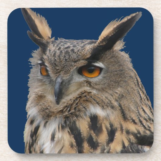 Owl Bier Onderzetter (Voorkant)