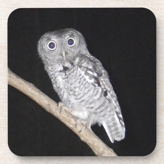 Owl Bier Onderzetter (Voorkant)