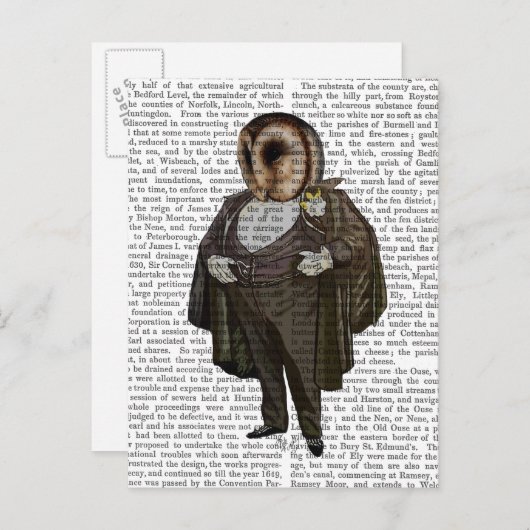Owl bij de opera briefkaart (Voorkant / Achterkant)