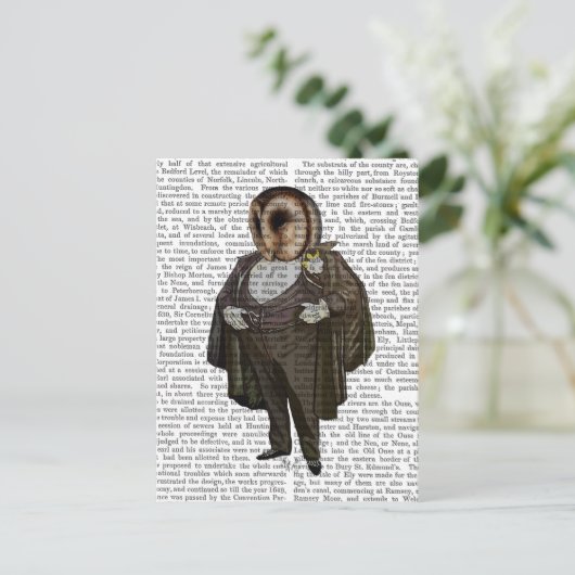 Owl bij de opera briefkaart (Staand voorkant)