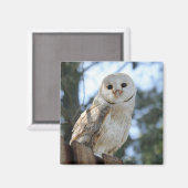 Owl Bird Animal Feathers Natuur Peace Love Destiny Magneet (Voorkant / Achterkant)