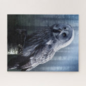 Owl Bird Animal Woodland Forest Natuur Legpuzzel (Horizontaal)