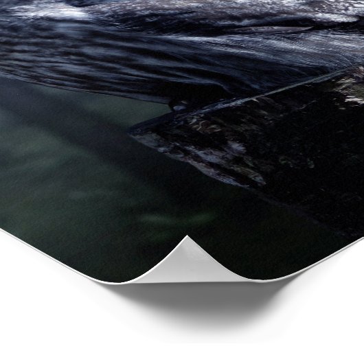 Owl Bird Animal Woodland Forest Poster (Hoek)