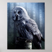 Owl Bird Animal Woodland Forest Poster (Voorkant)