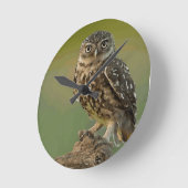 Owl Bird Eyes Tree Ronde Klok (Hoek)