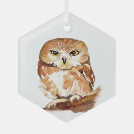 Owl Bird met Attitude Wildlife Natuur Art Glas Ornament (Voorkant)