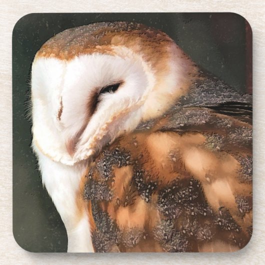 OWL BIRD VAN PREY BIER ONDERZETTER (Voorkant)