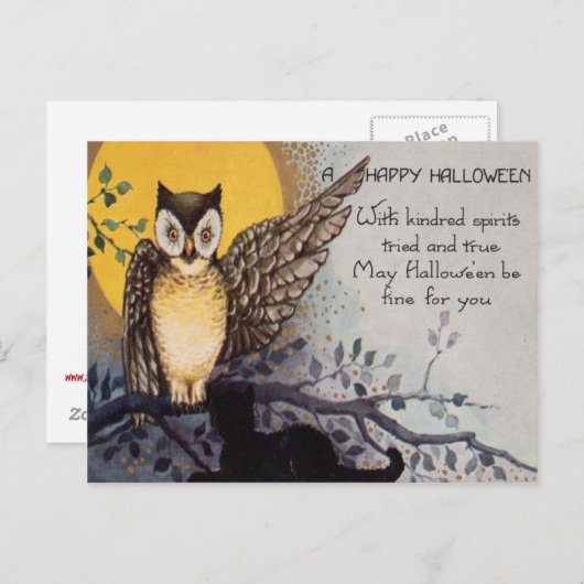 Owl Black Cat Full Moon Tree Naight Briefkaart (Voorkant / Achterkant)