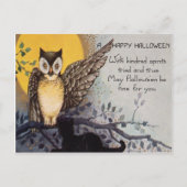 Owl Black Cat Full Moon Tree Naight Briefkaart (Voorkant)