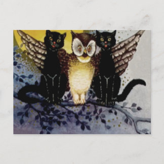 Owl Black Cat Full Moon Tree Naight Briefkaart