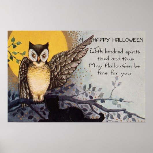 Owl Black Cat Full Moon Tree Naight Poster (Voorkant)