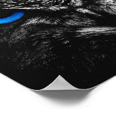 Owl blauwe ogen poster (Hoek)
