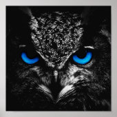 Owl blauwe ogen poster (Voorkant)