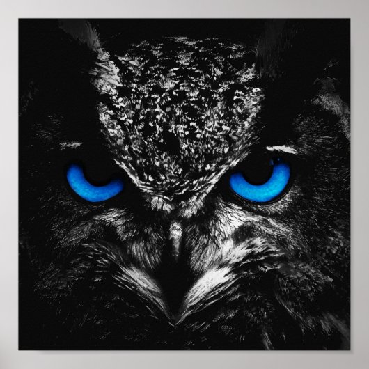 Owl blauwe ogen poster (Voorkant)