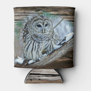 Owl Blikjeskoeler