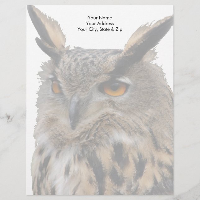 Owl Briefhoofd (Voorkant)