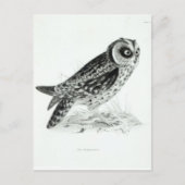 Owl Briefkaart (Voorkant)