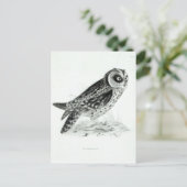 Owl Briefkaart (Staand voorkant)