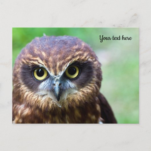 Owl Briefkaart (Voorkant)